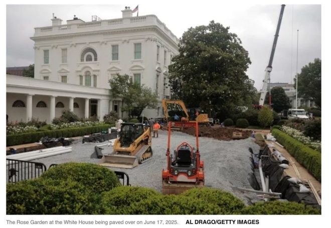 Melania's Rose Garden: Paradise Lost for Parking Spots? —  urban development consequences, environmental impact of urbanization, preserving green spaces 2025