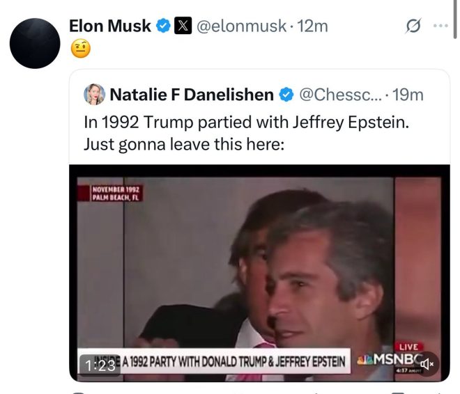 Musk's Shocking Role: Did He Buy Trump’s Presidency? — MAGA meltdown, Trump Musk controversy, political cult collapse