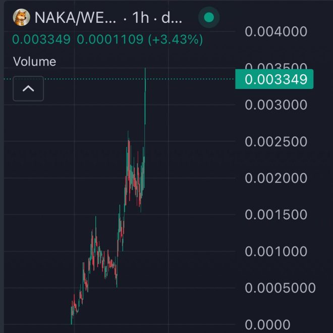 $NAKA Shatters Limits: What's Their Next Bold Move? — Cryptocurrency Innovations 2025, Decentralized Finance Trends, Nakamoto Vision Growth