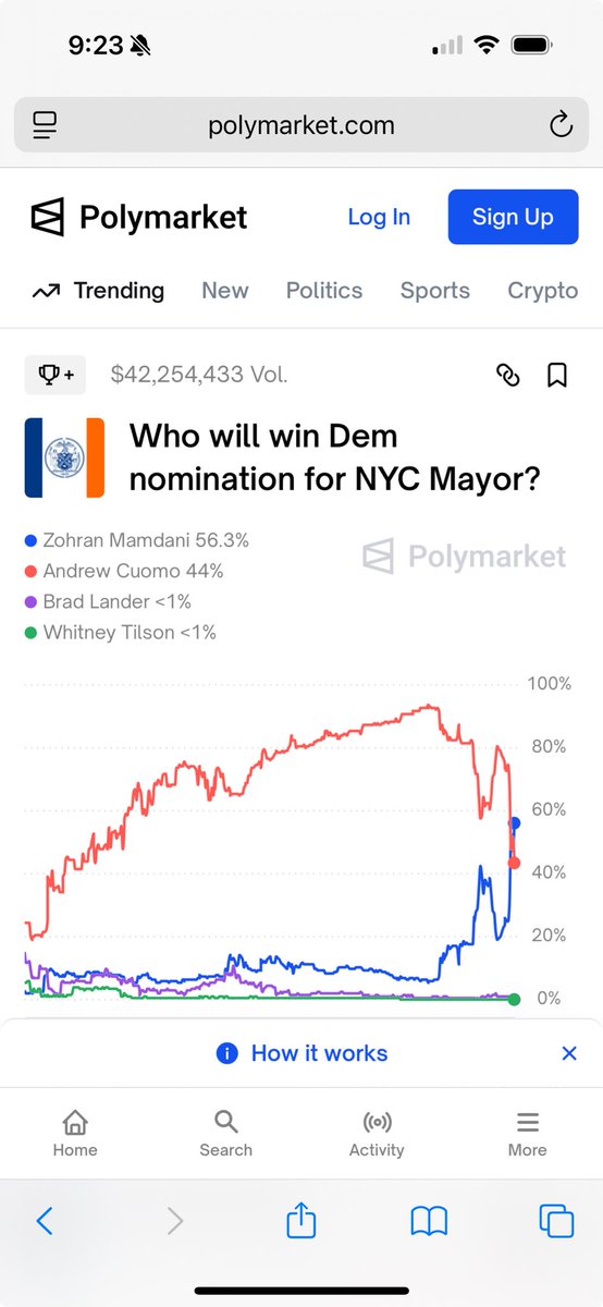 NYC's Mayor Vote: Socialism vs. Safety—What's Next? — NYC mayoral election 2025, socialist policies in New York City, city-run grocery stores in NYC