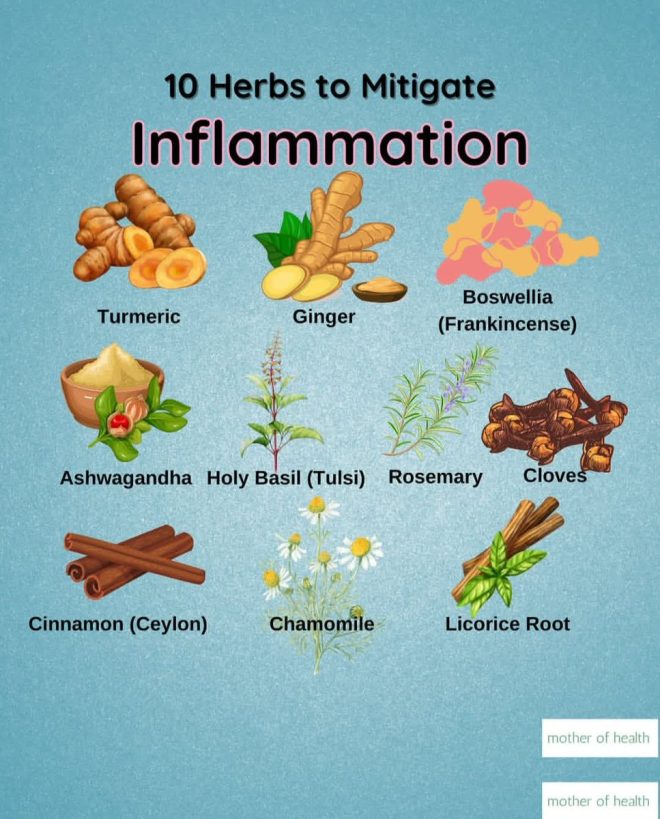 Nature's Secret: Herbs vs. Inflammation Crisis! — Natural anti-inflammatory remedies, Herbal solutions for chronic pain, Nature's inflammation fighters 2025