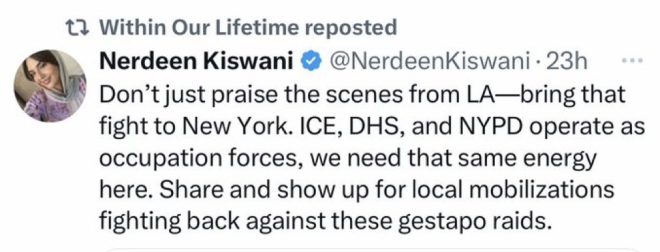 Outrage: Activist Nerdeen Kiswani Calls for Violence in NYC! — Nerdeen Kiswani controversy, Palestinian nonprofit violence, New York City safety concerns