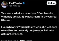 Outrage Erupts: Pro-Israel Violence Claims Innocent Lives —  child violence incidents, Texas hate crimes, Palestinian community safety