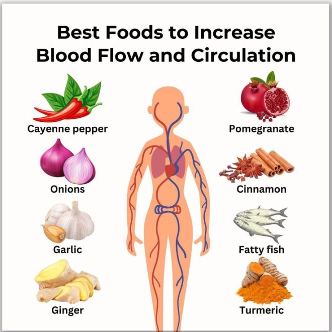Perimenopause: Is Your Blood Flow at Risk? — h3 Perimenopause Blood Flow Issues, h3 Estrogen Decline Effects, h3 Venous Health During Menopause