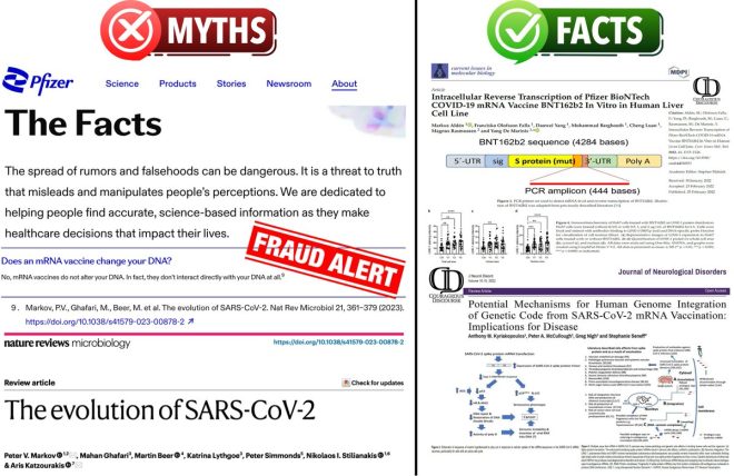Pfizer's Controversial Claim: Is Their Science Misleading? — mRNA vaccine DNA concerns, Pfizer study controversy, genome integration risks 2025