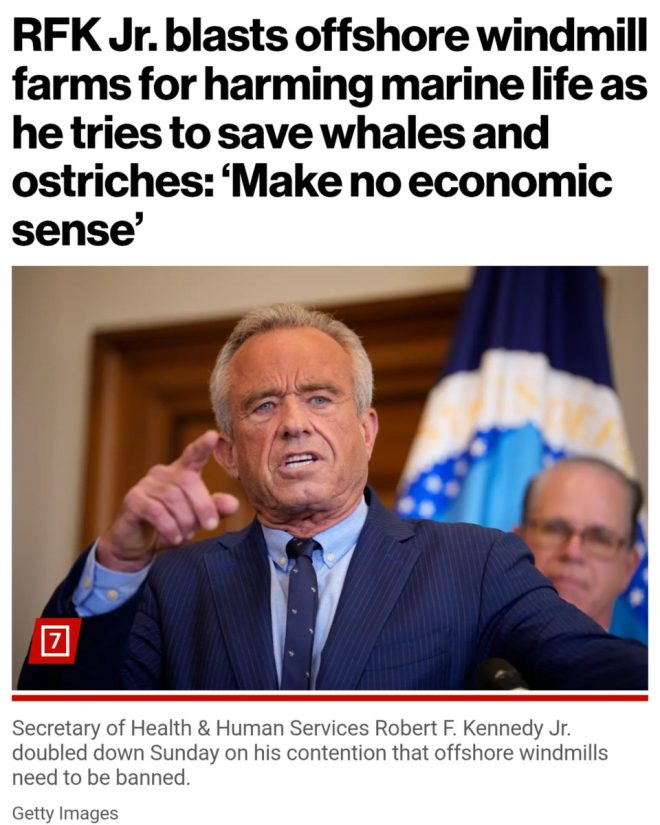 RFK Jr. Links Whale Deaths to Offshore Wind Farms! — offshore wind energy concerns, marine wildlife impact offshore, renewable energy controversies 2025