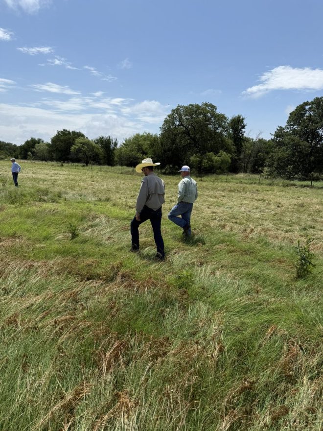 Revolution or Ruin? Regenerative Ranching Exposed! — Sustainable Grazing Practices, Biodynamic Agriculture, Soil Regeneration Strategies