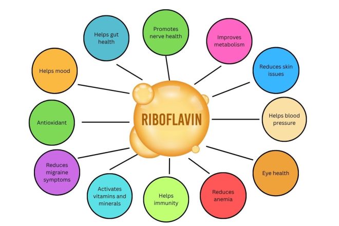 Revolutionary Nutrient: The Secret to Your Health? — magnesium benefits for health, vitamins for immune support and gut health, antioxidants for skin and mood enhancement