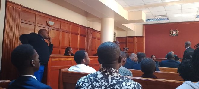 Rose Njeri Discharged: A Controversial Court Ruling! — Rose Njeri legal victory, Kenya court ruling news, public participation rights Kenya