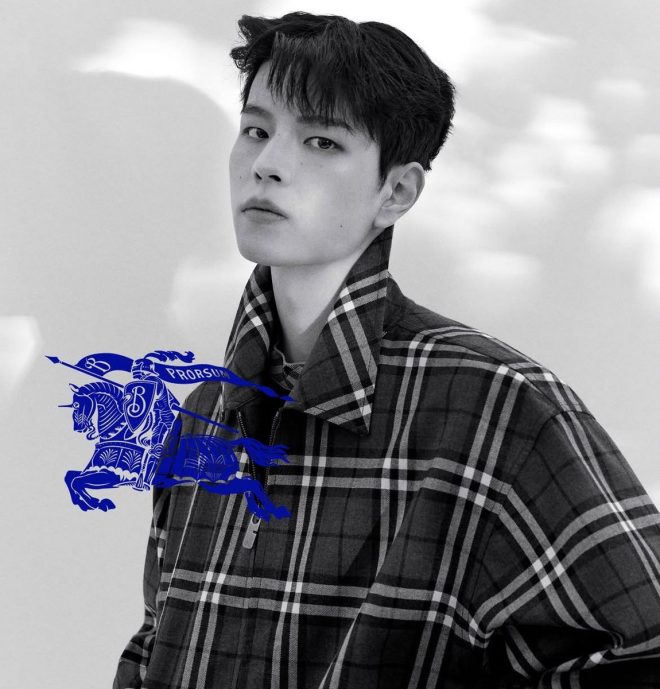 Seungmin's Burberry Role: Fashion or Fan Manipulation? — Seungmin Stray Kids Burberry partnership, Stray Kids ambassador news 2025, K-pop fashion influencers