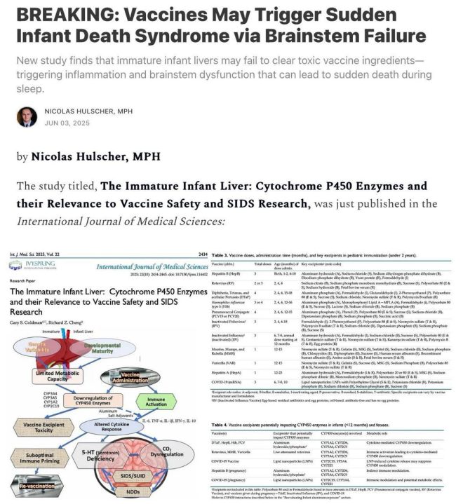 Shock Study: Are Childhood Vaccines Behind SIDS? — Childhood Vaccines and SIDS Connection, Sudden Infant Death Syndrome Research 2025, Vaccine Safety Concerns and Infant Health