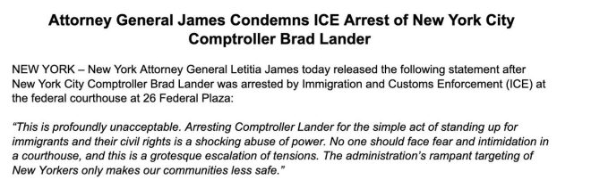Shocking Arrest: NYC Mayoral Candidate Lander Detained! — New York arrests, NYC civil rights, Letitia James statement