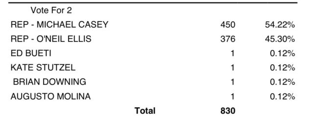Shocking Victory: New Jersey's Bold GOP Nominee Emerges! — Republican City Council Nominee, America First Movement New Jersey, 2025 Primary Election Results