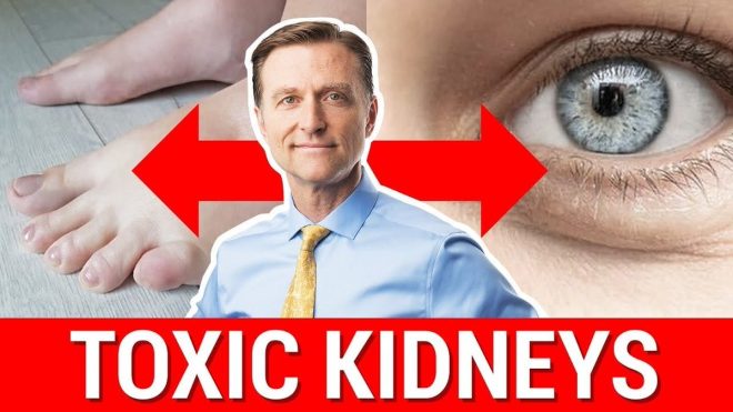 Silent Kidney Damage: What Are You Missing? — Preventing Kidney Disease: Essential Lifestyle Changes, Early Symptoms of Kidney Trouble, Herbal Solutions for Kidney Health