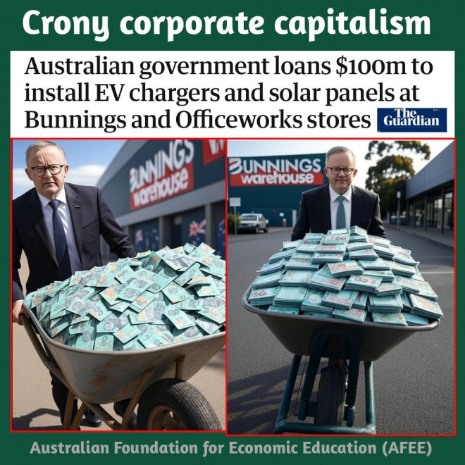 Taxpayer Funds Fuel Bunnings' Green Shift: Cronyism? — corporate welfare, government subsidies 2025, business monopolies