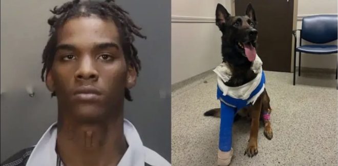 Texas Teen Charged: Did He Justify Shooting Police K9? — Darrin King shooting incident, police K9 protection laws, Texas man charged with animal cruelty