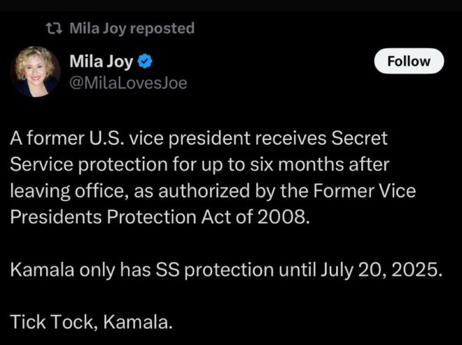 Threats of Violence: Conservative Influencer Targets Harris —  political violence threats Minnesota, conservative influencer controversies 2025, assassination plot reactions Kamala Harris