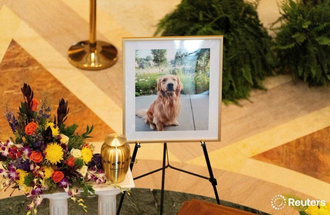 Tragedy Strikes: Political Family and Their Dog All Lost — memorial tribute for public officials, canine companions in politics, Minneapolis Capitol shooting aftermath