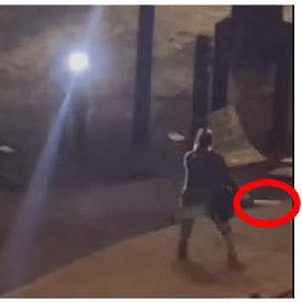 Trump Claims 'Left-Wing Rioters' Armed for Violent Protest! — left-wing protests Portland, federal law enforcement assault charges 2025, violence during protests