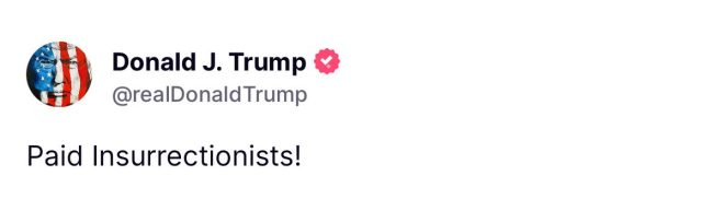 Trump Claims “Paid Insurrectionists” in Shocking Revelations! — "Trump insurrection allegations, paid protestors investigation, invoke Insurrection Act 2025"