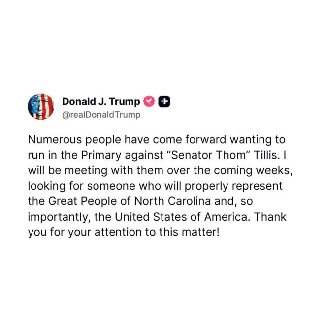 Trump's Bold Move: Challengers Unite Against Tillis! — Trump primary challengers, Senator Tillis controversy, GOP candidate meetings