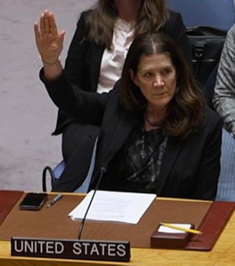 US Vetoes Ceasefire: Is Peace Just a Facade? — genocide in Palestine, US veto ceasefire 2025, UN Security Council actions