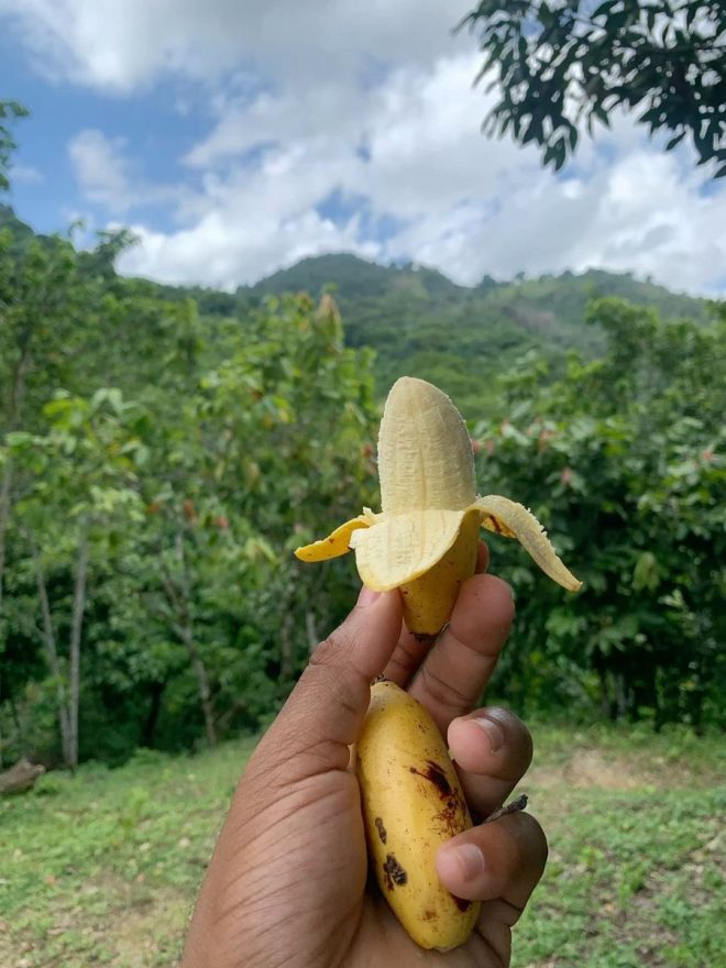 Unlock Happiness: The Shocking Fruit Secret! — Boost Your Mood with Superfoods, Fruits That Elevate Your Spirit, Sleep-Inducing Snacks for Wellness