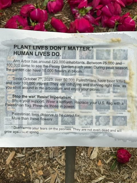 Vandals Target U of M Arboretum: Peonies Cut for Palestine! — Vandals target university gardens, Peony plants vandalism incident, Symbolic protests in public spaces