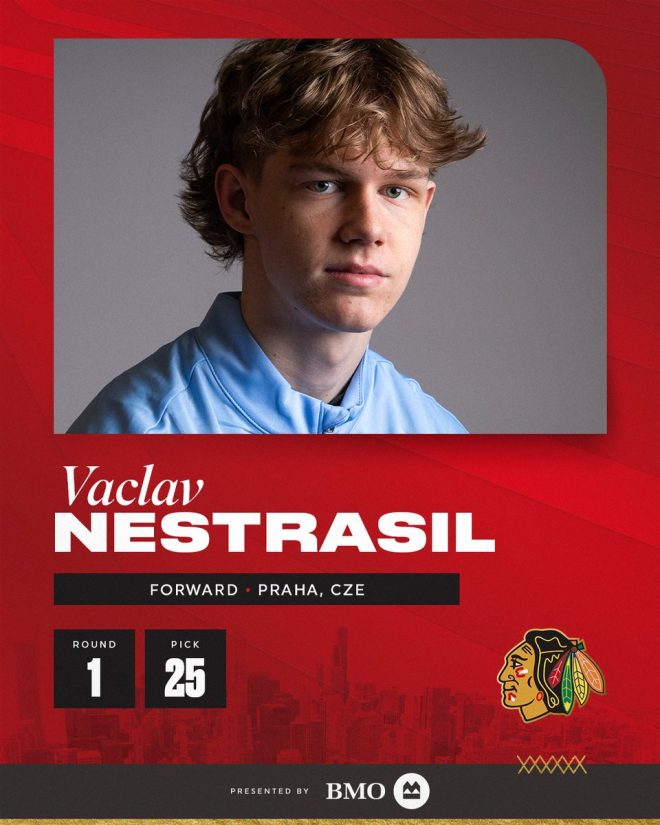 Welcome to Chicago: Vaclav Nestrasil's Shocking Return! — Explore Chicago Attractions, Vaclav Nestrasil Art, Chicago Travel Tips 2025