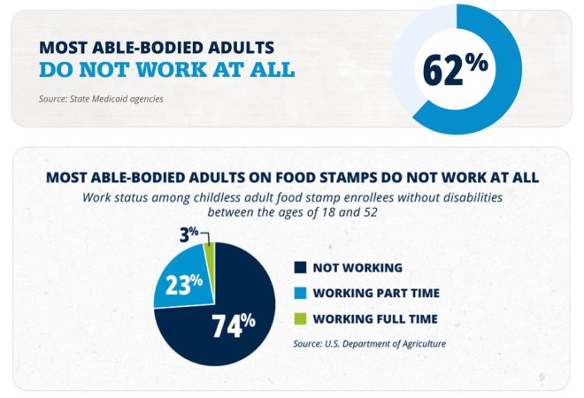 Welfare Debate: Are Able-Bodied Recipients Taking Advantage? — welfare reform 2025, work requirements for welfare, Medicaid work mandates