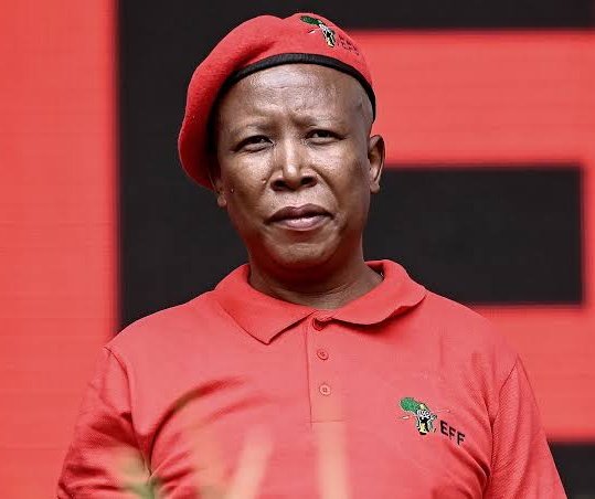 BREAKING: Julius Malema declares, "Africa is for Africans. White people not welcome." — Julius Malema controversy, African ownership debate, South African political statement
