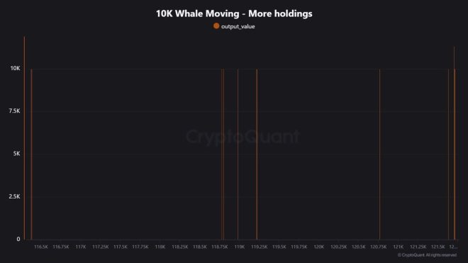 💥BREAKING: MYSTERY WHALE REVEALED AS OLD MINER WITH $17 BILLION IN BITCOIN! CONTROVERSIAL MOVES RAISE ALARM - SHOULD WE BE WORRIED? 🐳🚨 — Cryptocurrency news, Bitcoin whale, Digital asset transfer