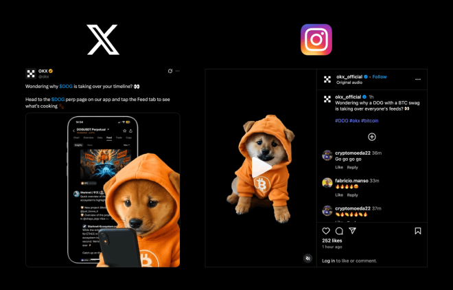 BREAKING: OKX's Shocking Bitcoin Runes Token $DOG Reveal! — Bitcoin Runes news, CEX cryptocurrency announcements, $DOG token update