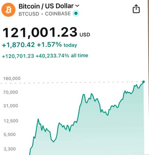 Bitcoin Soars to $121K: Is This a Bubble Ready to Burst? — cryptocurrency surge, historic bitcoin milestone, investment opportunities 2025