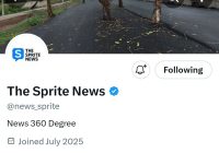 Breaking News: The News Sprite's Team to Deliver Unbeatable Content - Follow Now for All the Latest Updates! —  Latest News, Top Headlines, Breaking Updates