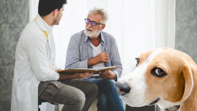 Dog Forces Democrat Owner Into Therapy After Fireworks! — Dog PTSD after Fireworks, Therapy for Traumatized Pets, Emotional Support for Dogs 2025