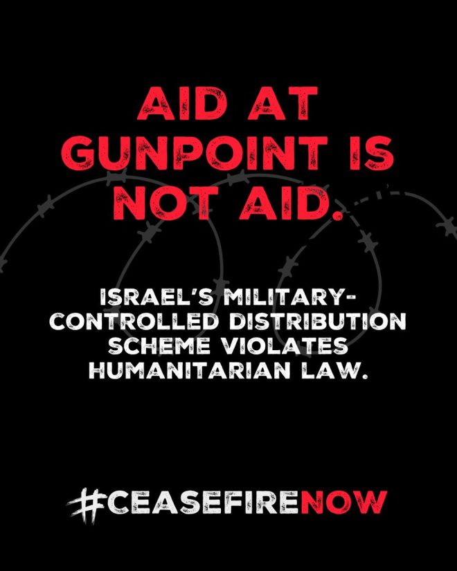 Food or Fire: Gaza's Deadly Distribution Crisis Exposed — Food security in conflict zones, humanitarian crisis in Gaza, violence and food distribution