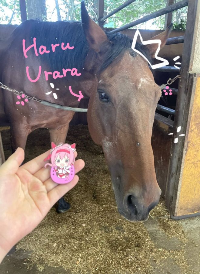 Haru Urara's Surprising New Life: Visit If You Dare! — Haru Urara farm visit, Chiba Japan horse experience, meet Haru Urara 2025