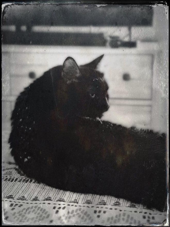 Heartbroken by the Death of My Beloved Lucy