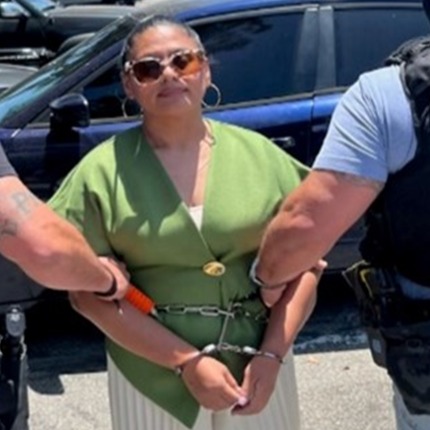 ICE Arrests DACA Denied Alien in $Millions Fraud Scandal! — ICE arrests illegal alien, felony fraud embezzlement case, DACA application denied 2025