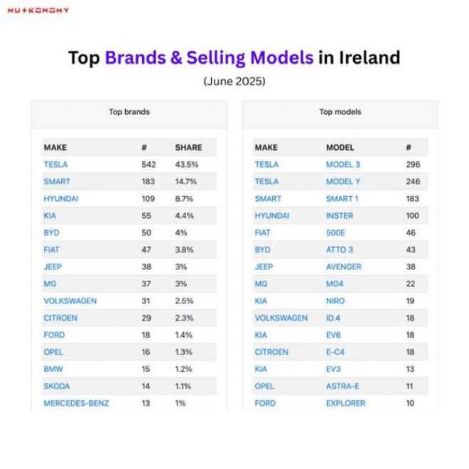 Is Tesla's Irish EV Dominance a Threat to Local Brands? —  electric vehicle growth in Ireland, Tesla sales surge 2025, Ireland EV market leaders