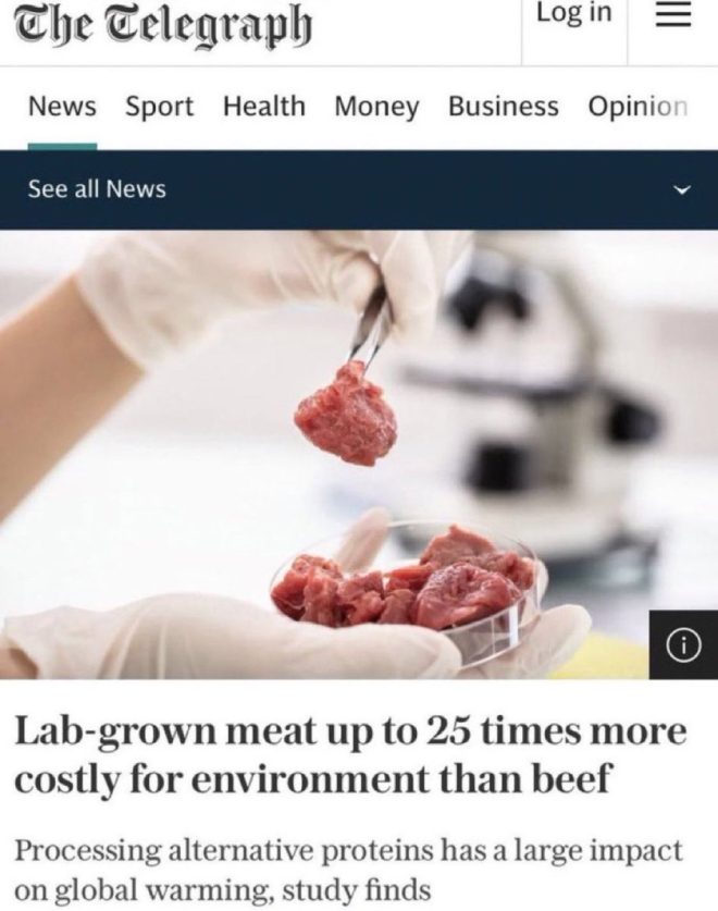 Lab-Grown Meat: The Hidden Environmental Cost Exposed! — Sustainable protein alternatives, Environmental impact of lab meat, Cost analysis of cultured meat 2025