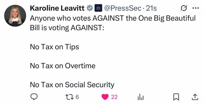 Leavitt's Shocking Exposé: RINOs in Congress Unmasked! —  RINO exposed Congress, MAGA movement news, Karoline Leavitt statement 2025