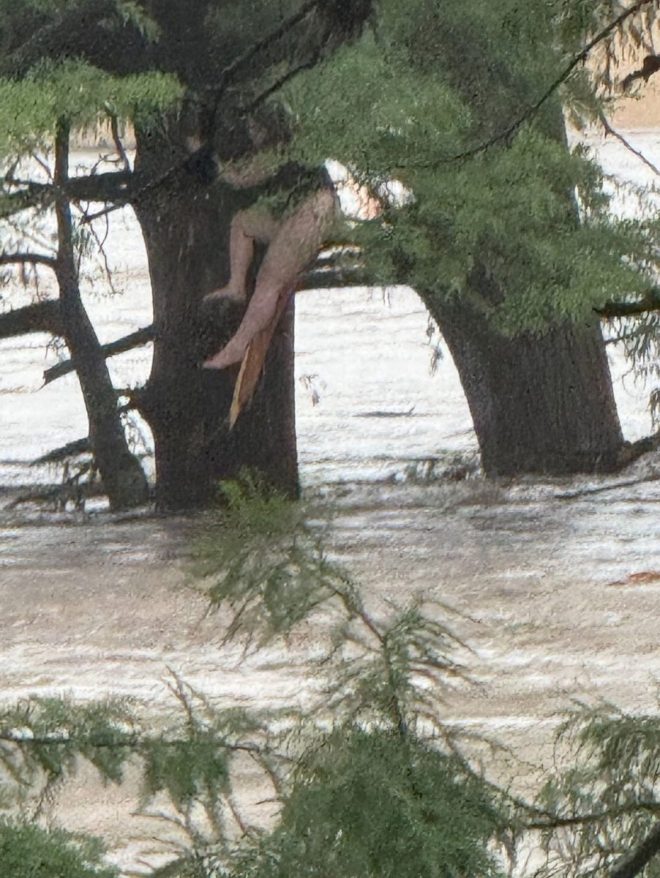 Miracle in Texas: Girl Survives 12-Mile River Plunge! — miracle rescue Texas Hill Country, missing child found alive, first responders save girl from river