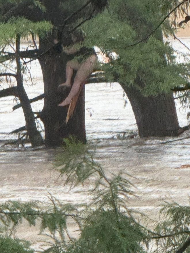 Miracle or Misfortune? Girl Survives Texas Flood Chaos! — Texas flood rescue news, missing child search efforts, emergency response Texas 2025