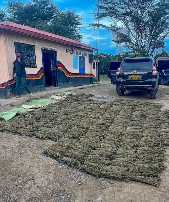 Narok Police Seize Bhang-Laden SUV: Who's Behind It? —  drug trafficking crackdown Narok County, vehicle interception narcotics 2025, police operation marijuana transport