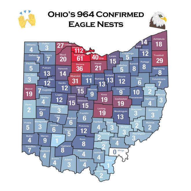 Ohio's Eagle Nest Surge: A Symbol of Independence? —  bald eagle conservation, Ohio wildlife milestones, Independence Day celebrations 2025