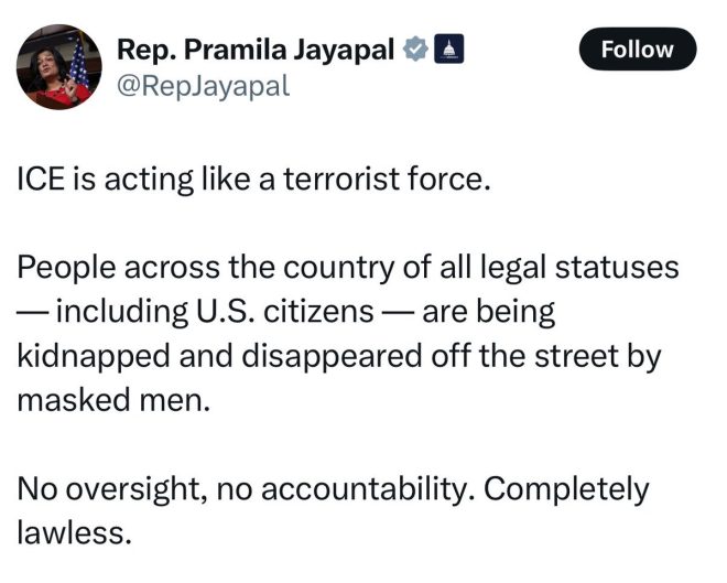 Rep. Jayapal Calls ICE Agents 'Terrorists' Amid Violence Surge! —  Rep Jayapal immigration policy, ICE agent violence surge, Pramila Jayapal statements on law enforcement