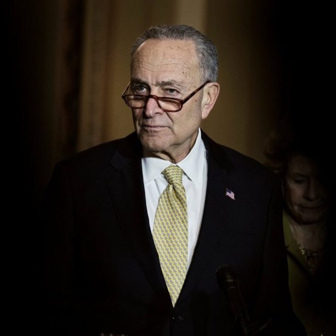 Schumer’s $85M Net Worth: Should DOGE Investigate? 🤔 — politician salary 2025, net worth analysis, cryptocurrency investigation