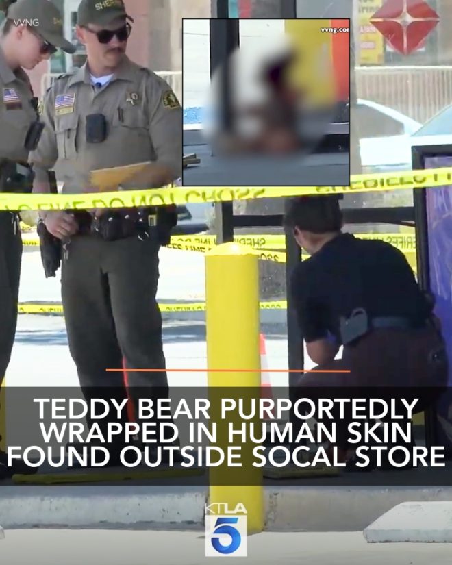 Shock as Teddy Bear Wrapped in Human Skin Found! — h3 GRAPHIC CONTENT: The coroner's office is investigating what appears to be a teddy bear wrapped in human skin, though there are reports, unconfirmed, that the object may be a prank. Video & Details:
Unusual forensic discoveries, Creepy urban legends, Shocking prank videos